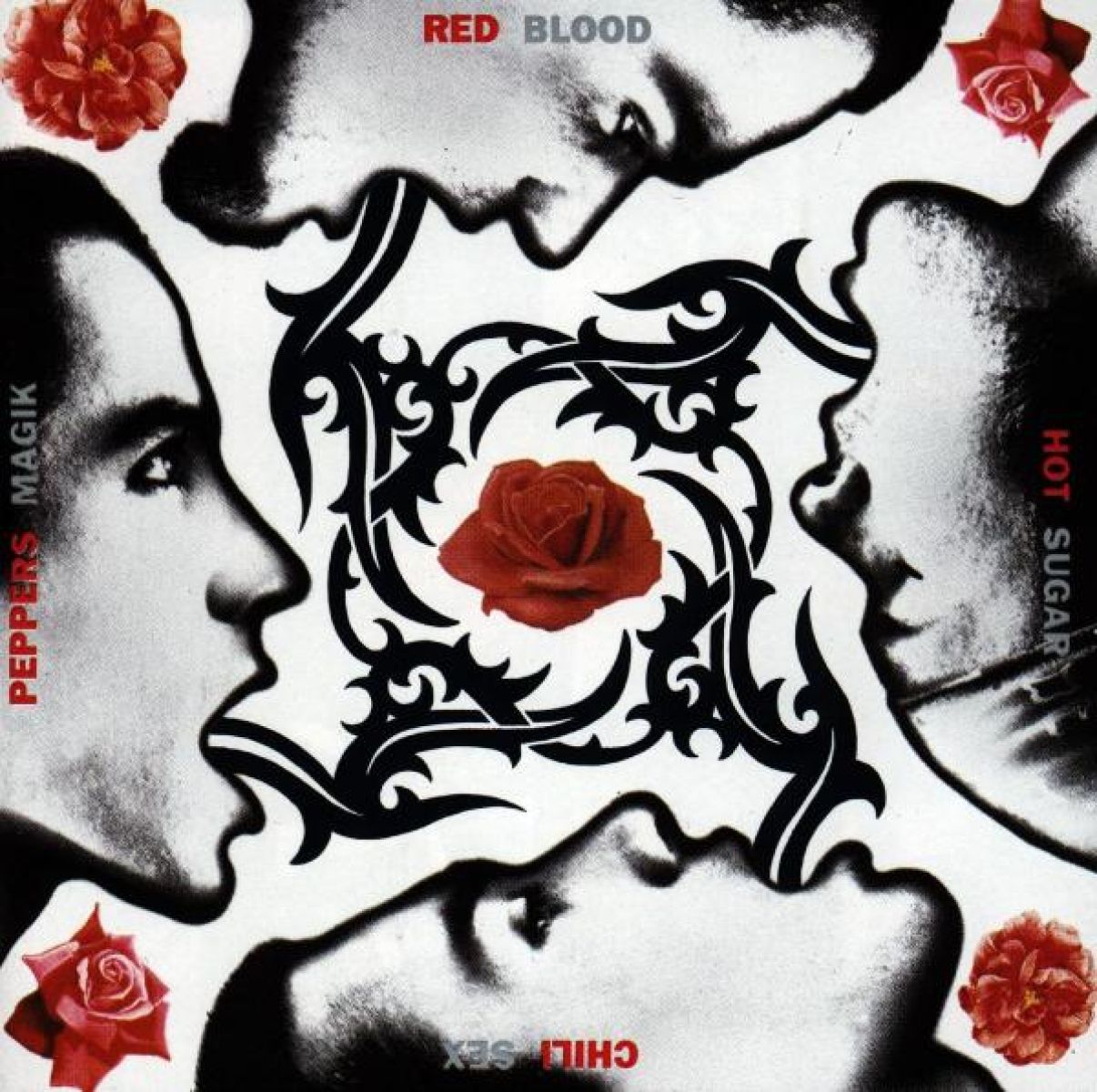 Afbeelding van Red Hot Chili Peppers - Blood Sugar Sex Magik