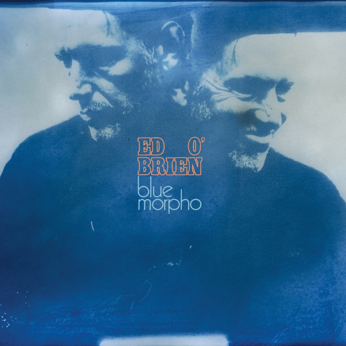 Afbeelding van Ed O'Brien - Blue Morpho