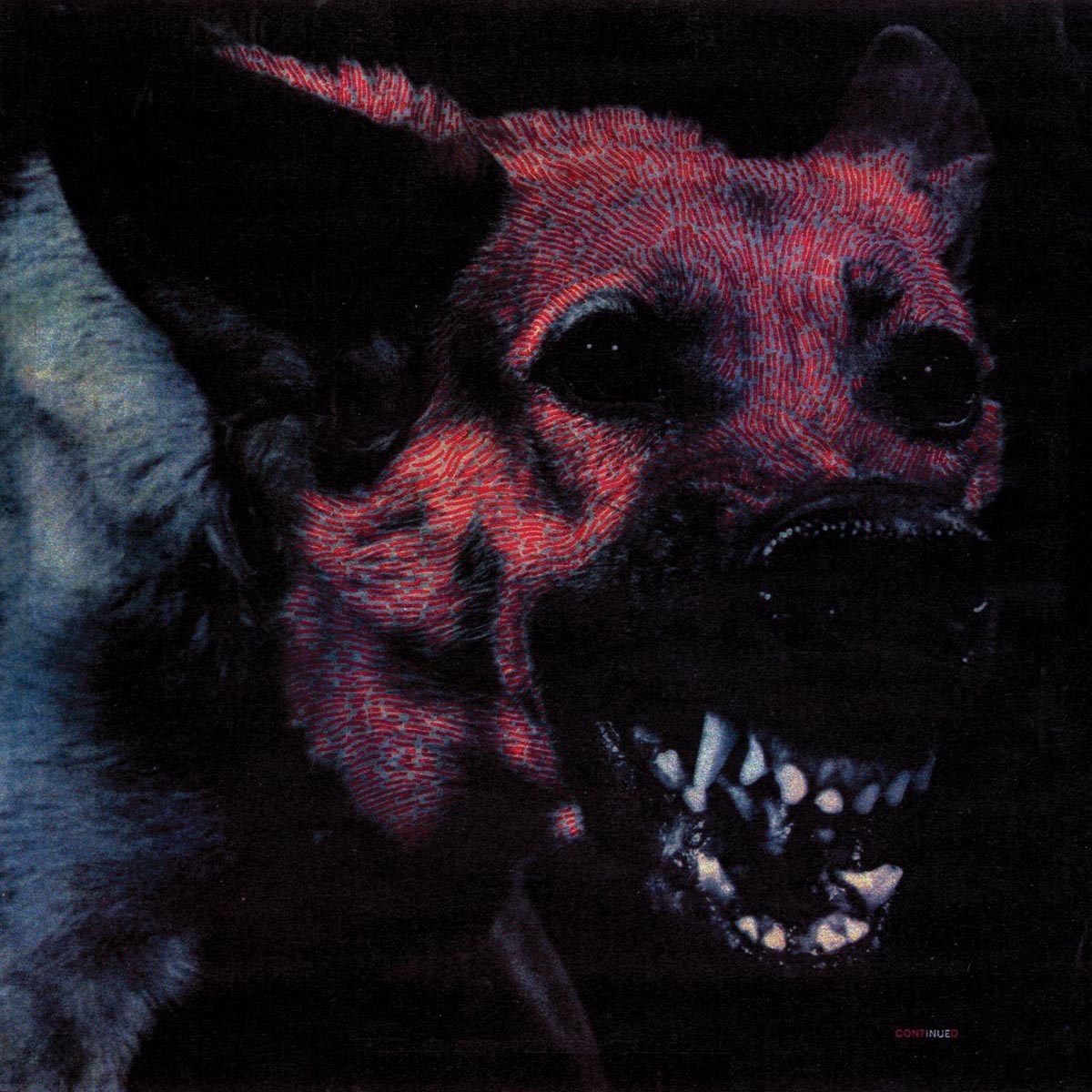 Afbeelding van Protomartyr - Under Color Of Official Right