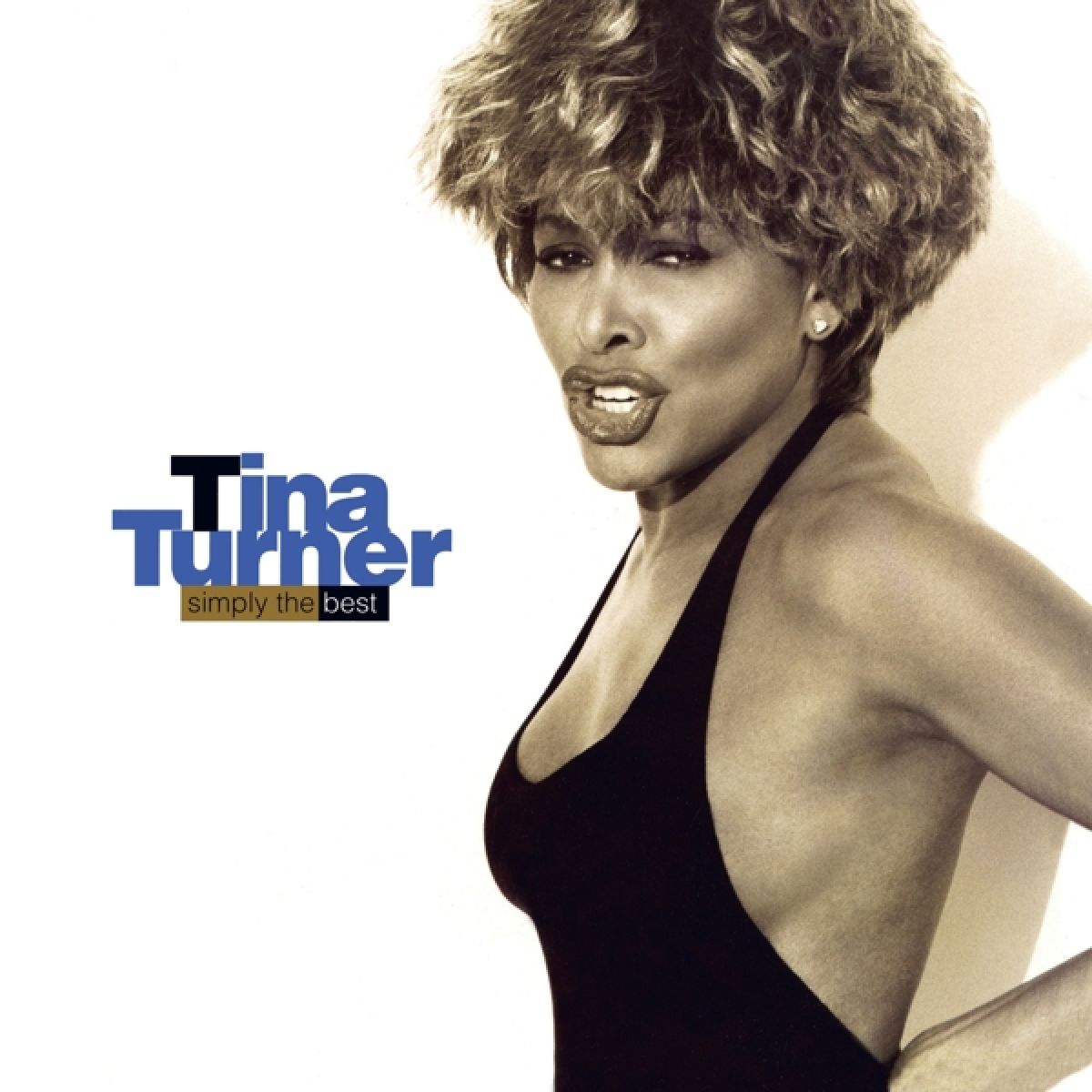 Tina Turner - Simply The Best