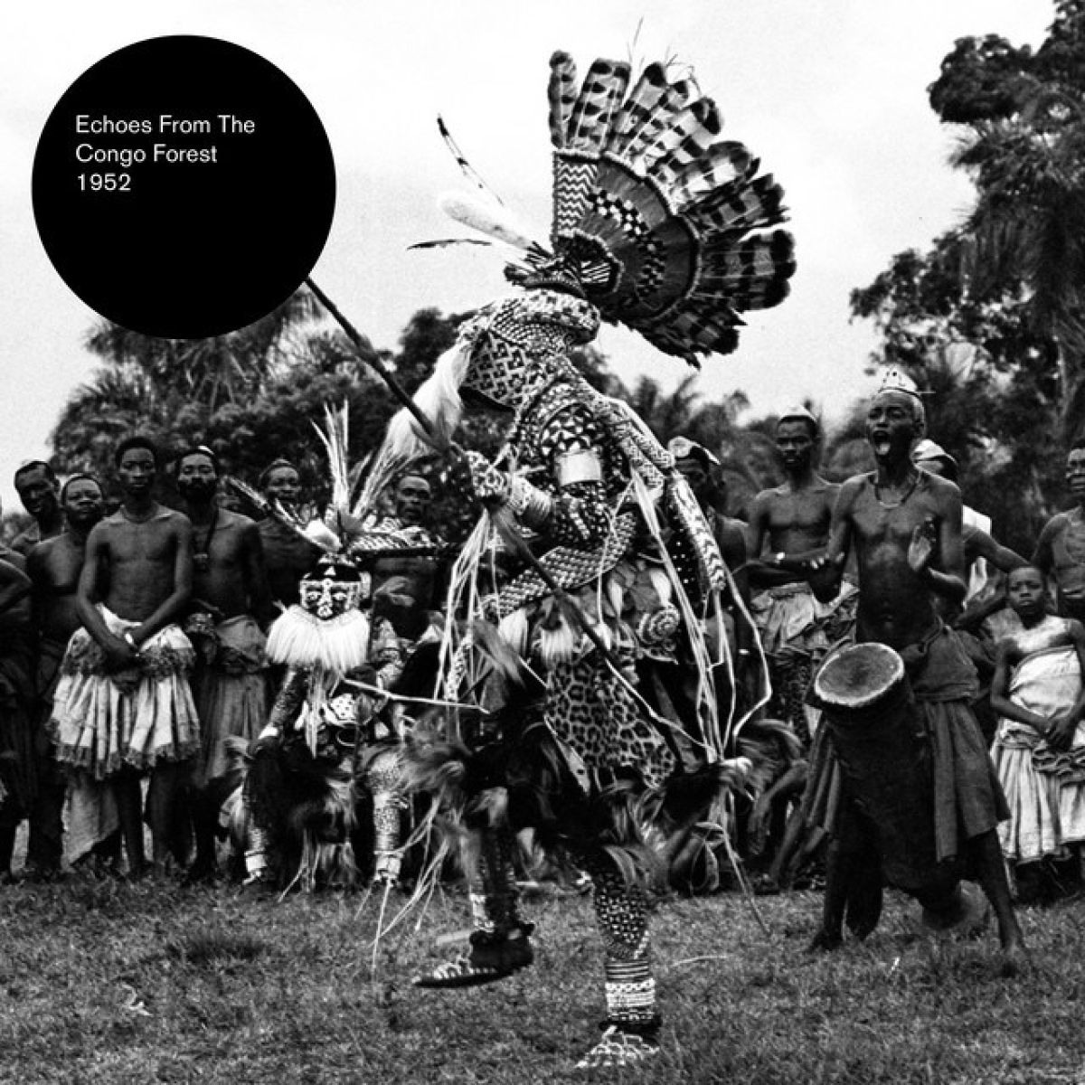 Afbeelding van Various Artists - Forest Music. Northern Congo 1952