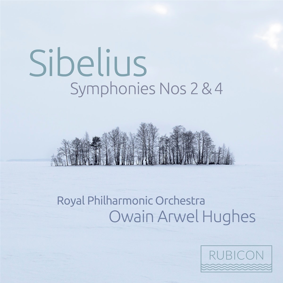 Afbeelding van Royal Philharmonic Orchestra, Owain Arwel Hughes - Sibelius: Symphony No.2 In D Major & No.4 In A Minor