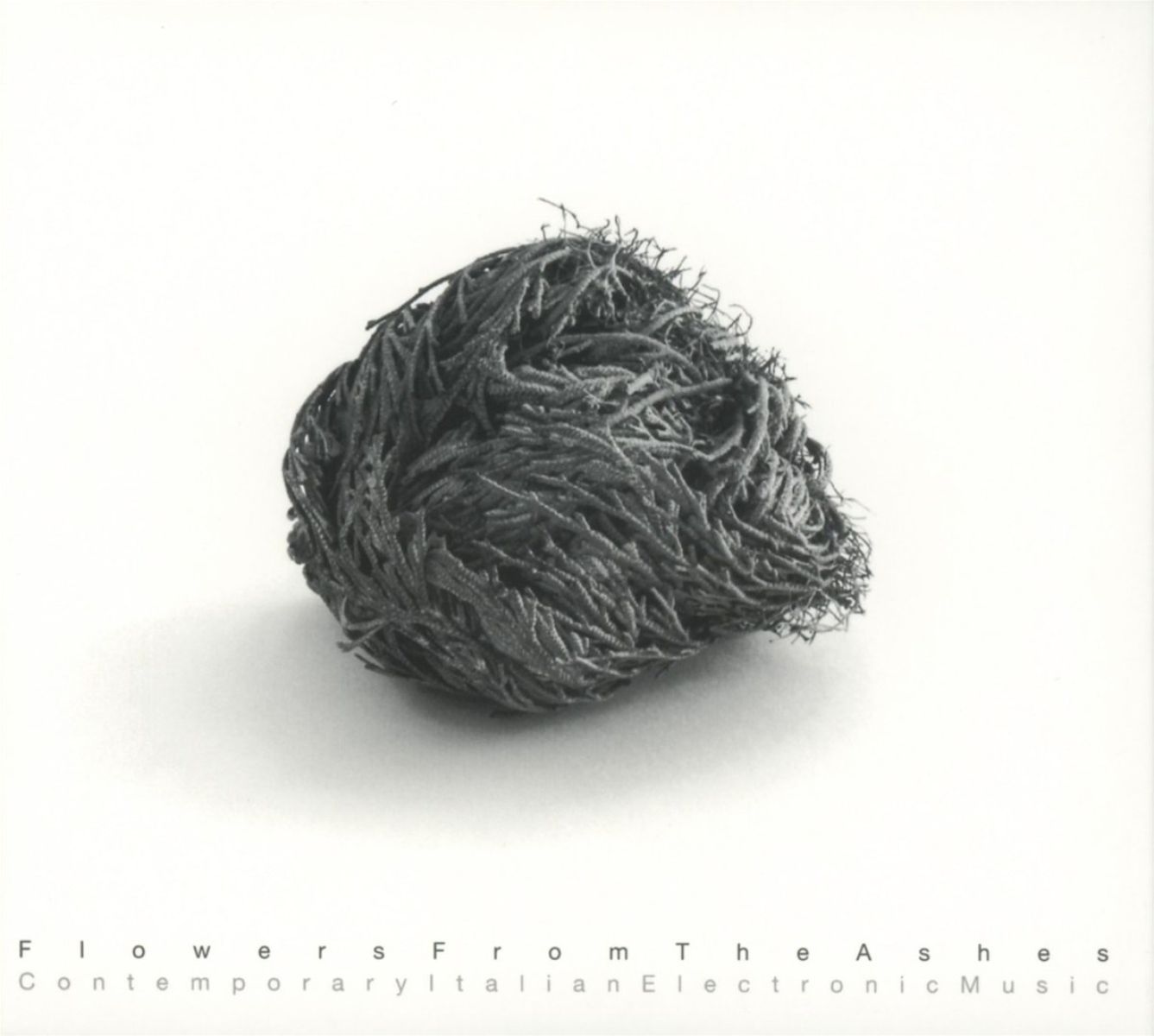 Afbeelding van Various Artists - Flowers From The Ashes