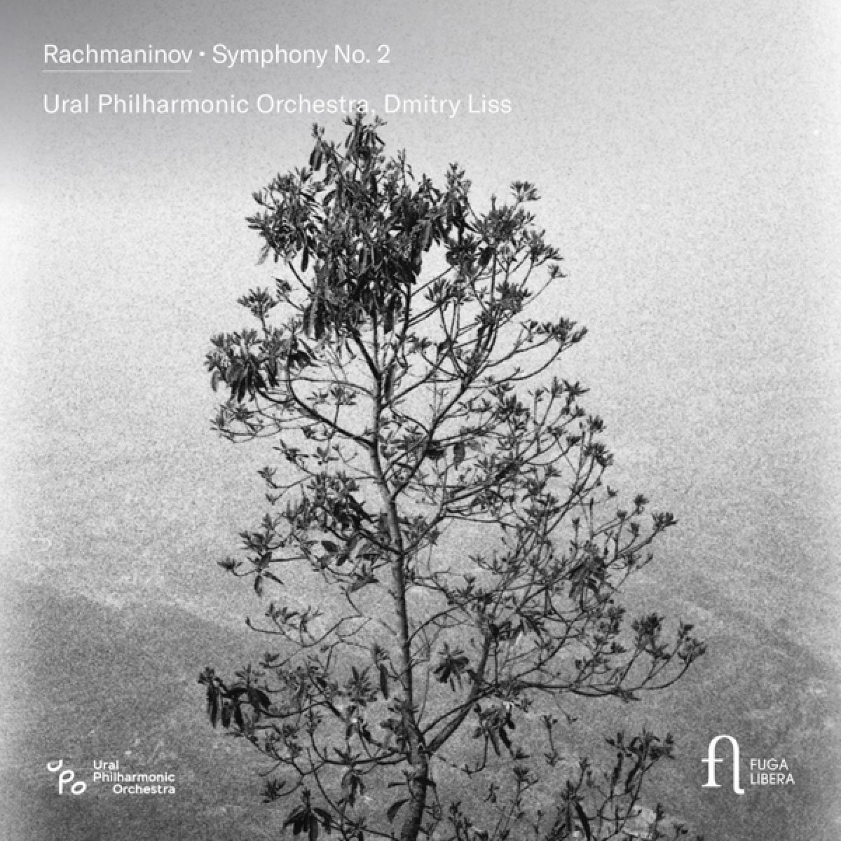 Afbeelding van Ural Philharmonic Orchestra, Dmitry Liss - Rachmaninov: Symphony No. 2