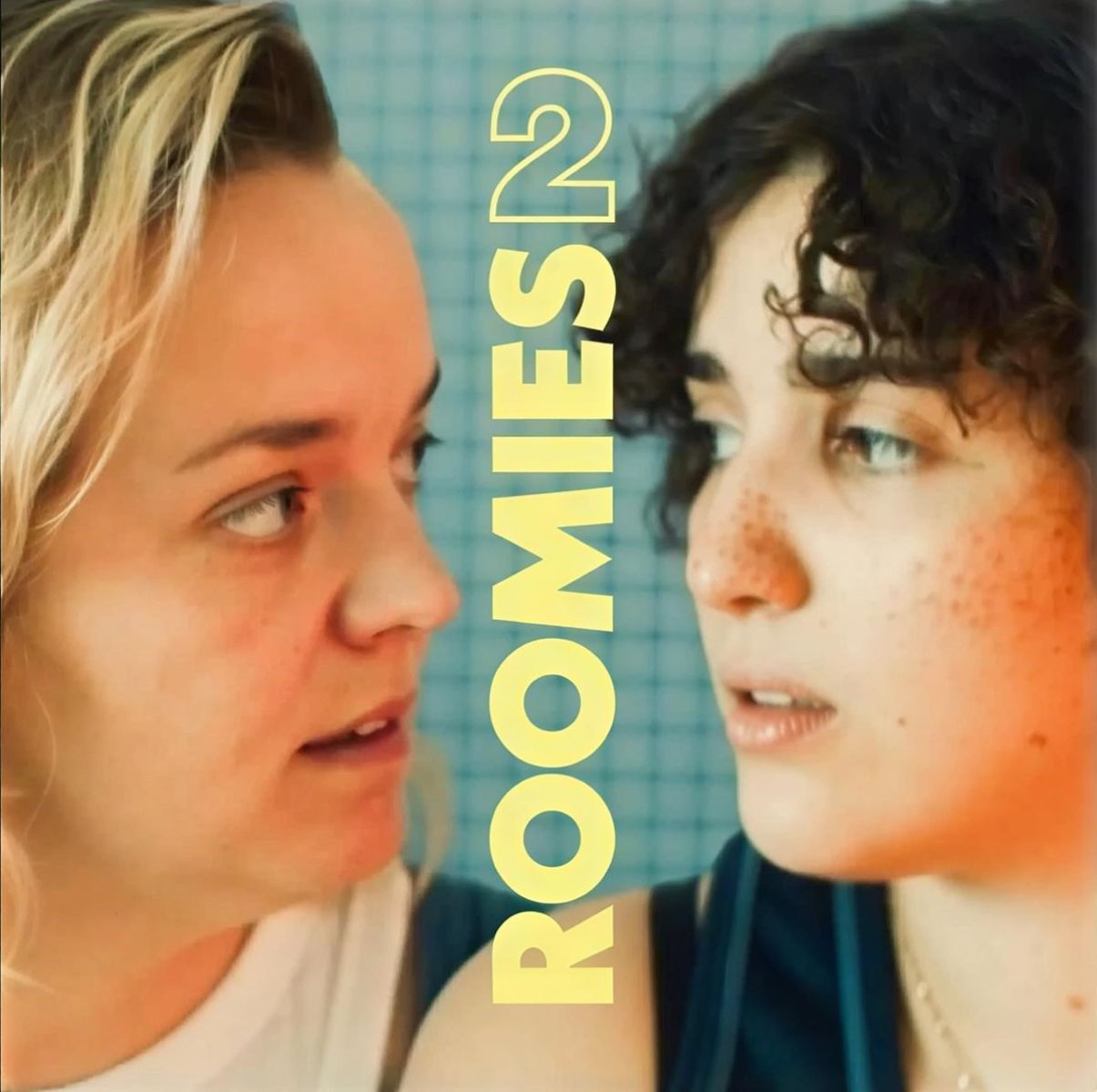 Afbeelding van Various Artists - Roomies 2