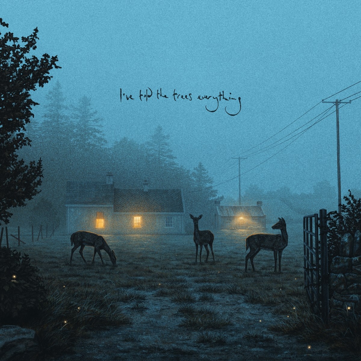 Afbeelding van Dermot Kennedy - I've Told The Trees Everything