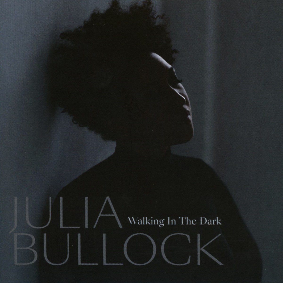 Afbeelding van Julia Bullock, Philharmonia Orchestra - Walking In The Dark