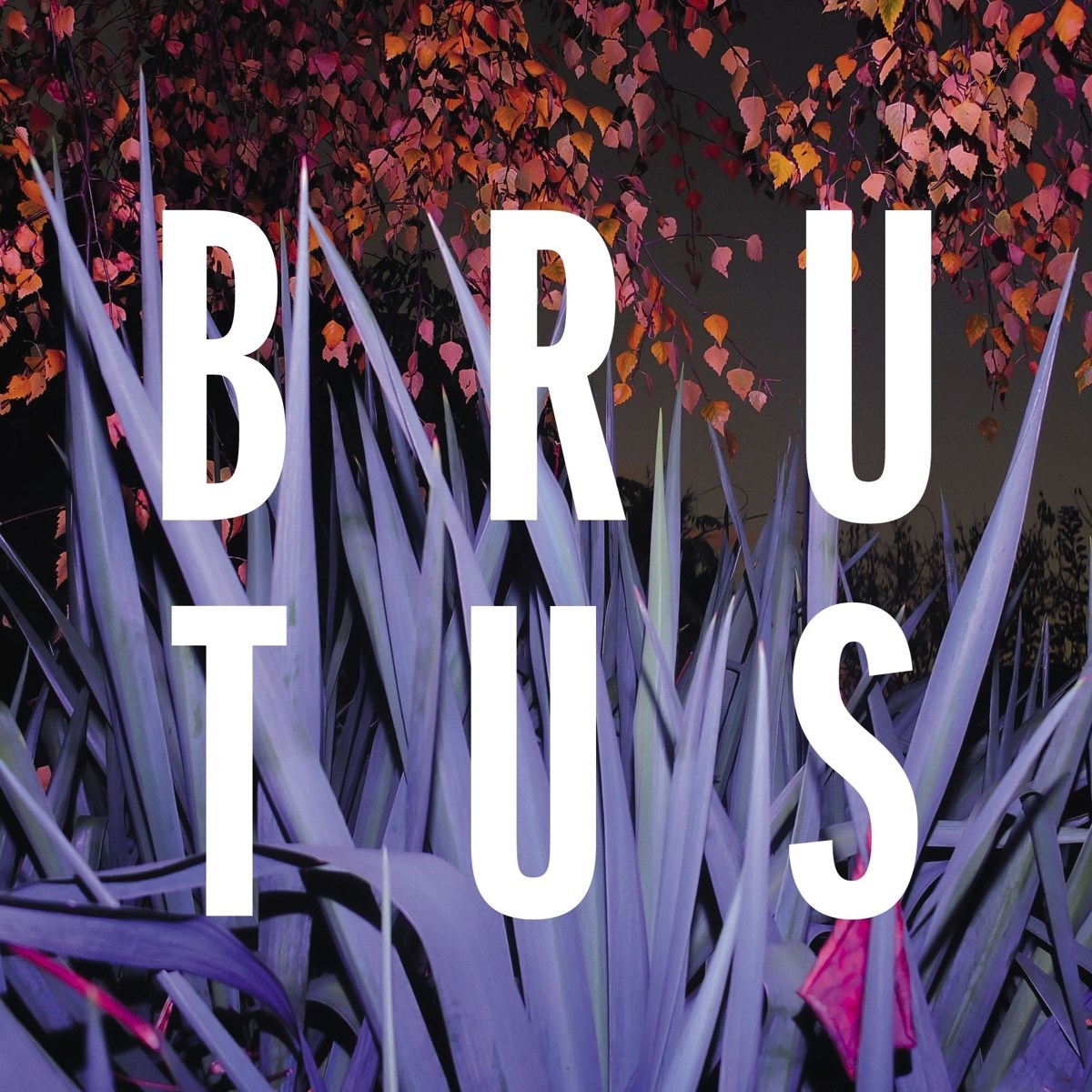 Afbeelding van Brutus - Burst