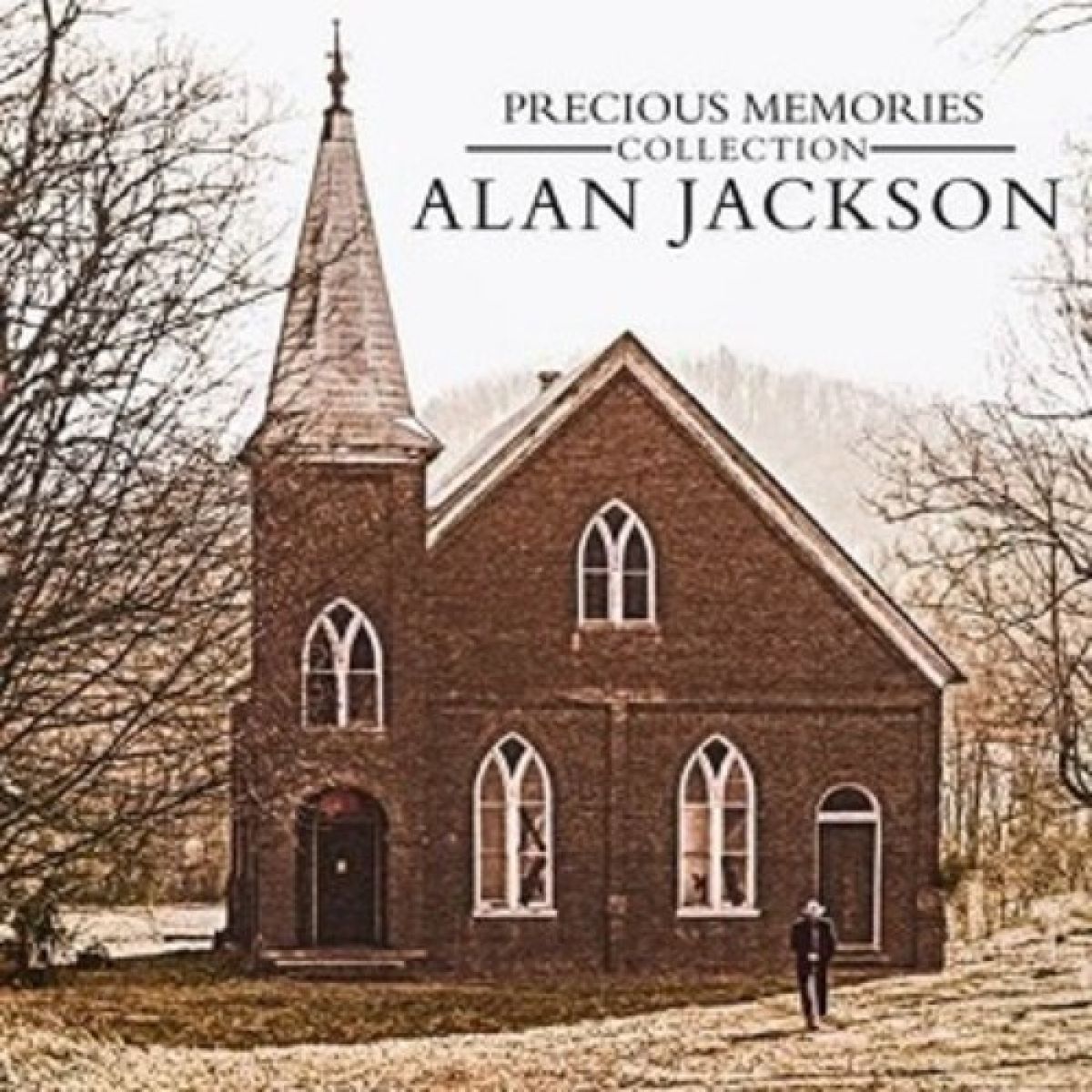 Afbeelding van Alan Jackson - Precious Memories Collection