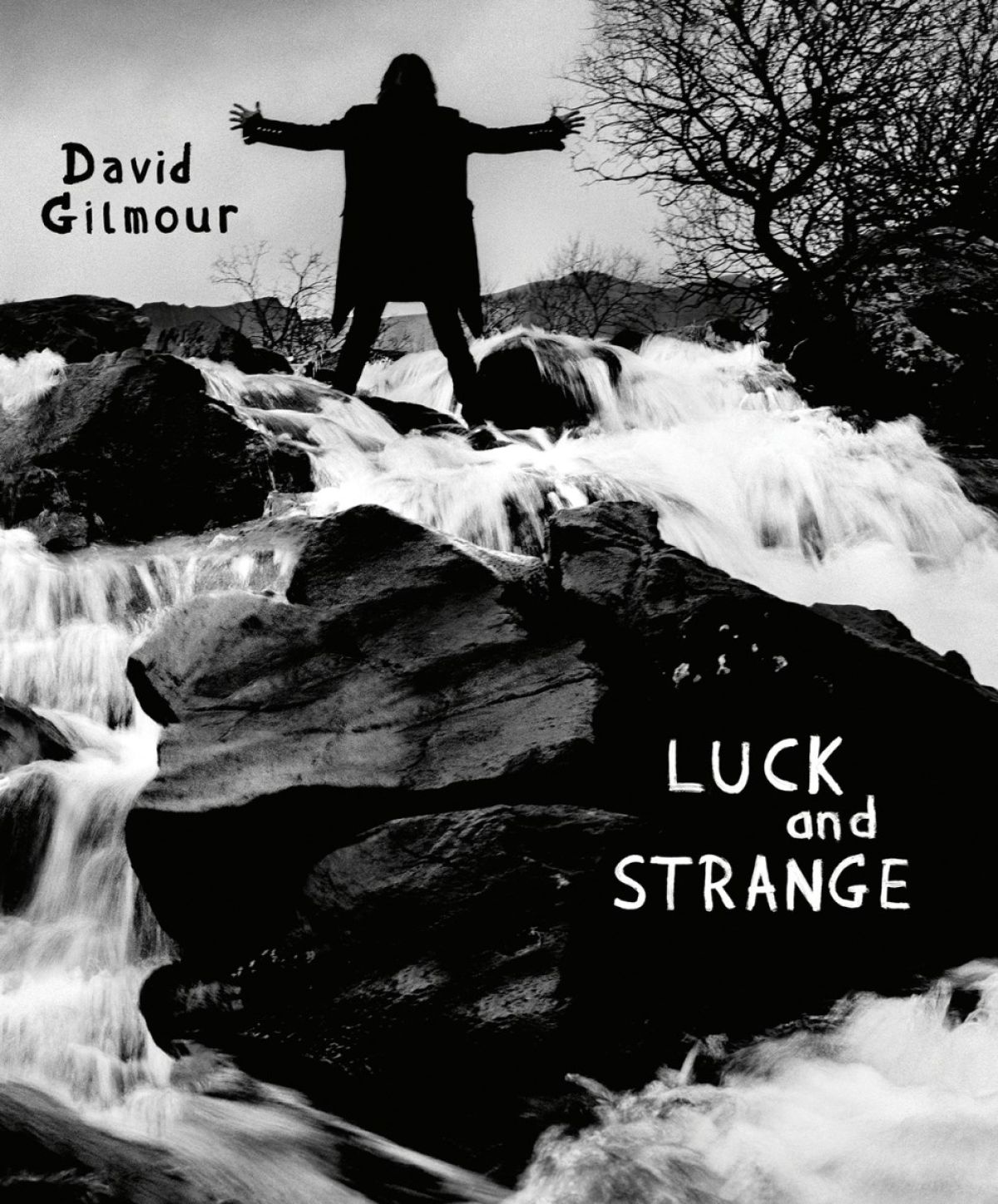 Afbeelding van David Gilmour - Luck And Strange