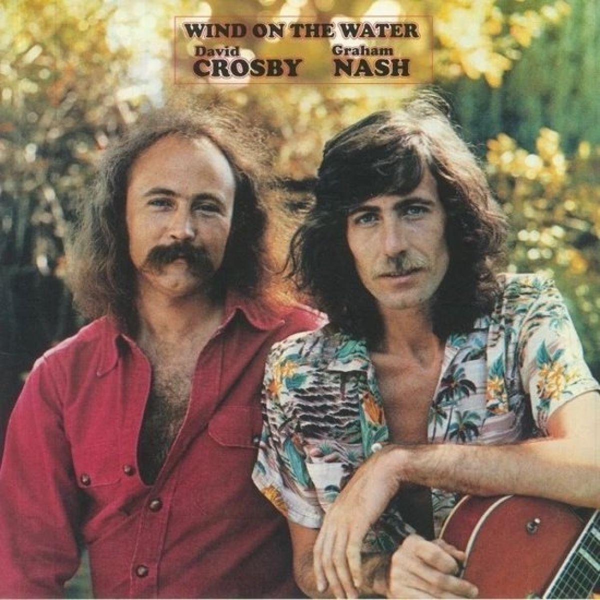 Afbeelding van Crosby & Nash - Wind On The Water