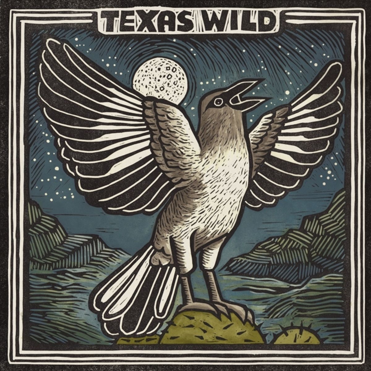 Afbeelding van Various Artists - Texas Wild