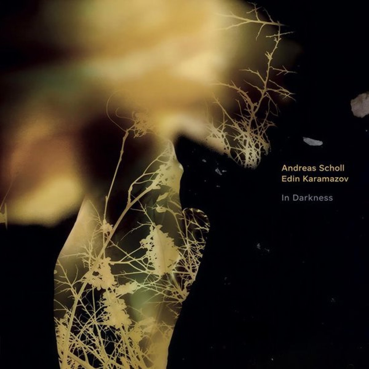Afbeelding van Andreas Scholl & Edin Karamazov - In Darkness