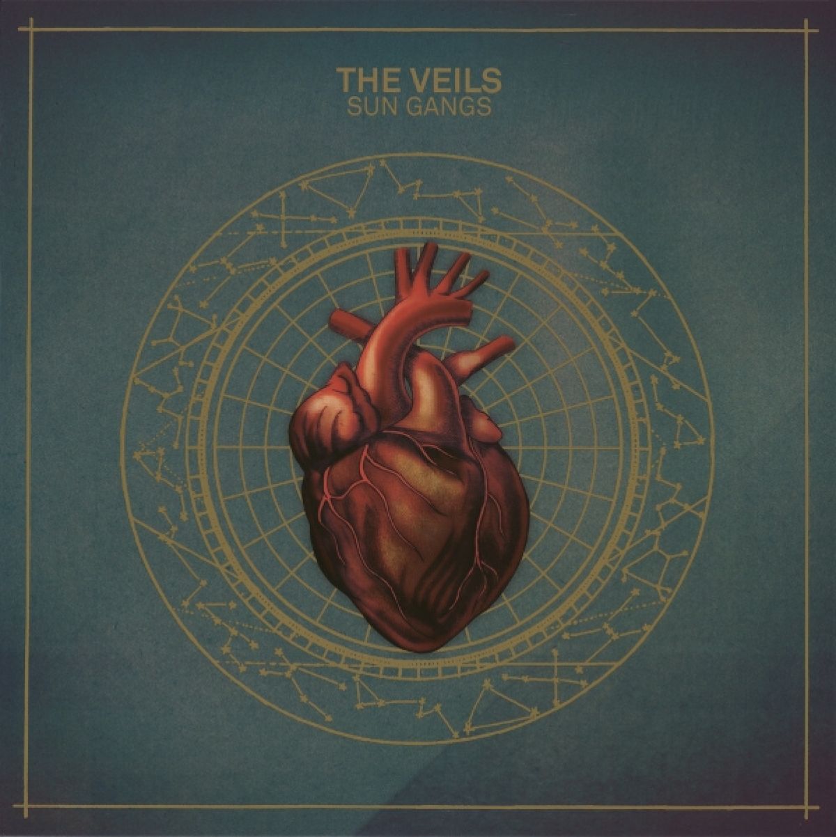 Afbeelding van The Veils - Sun Gangs