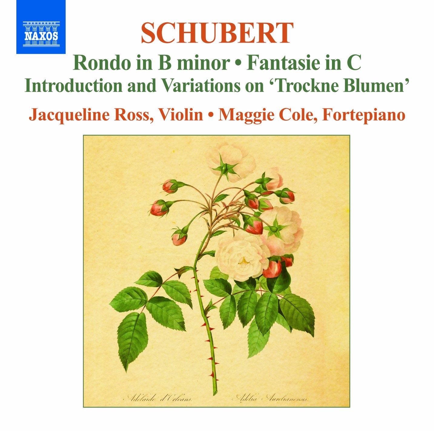 Afbeelding van Jacqueline Ross & Maggie Cole - Schubert: Rondo in B Minor/Fantaie in C
