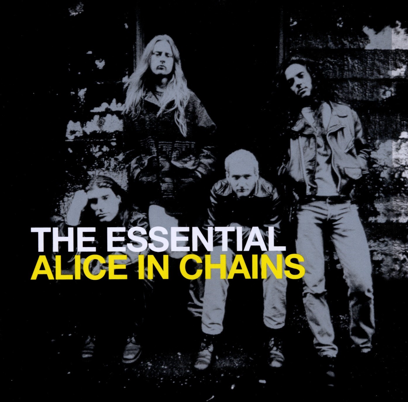 Afbeelding van Alice In Chains - The Essential Alice In Chains