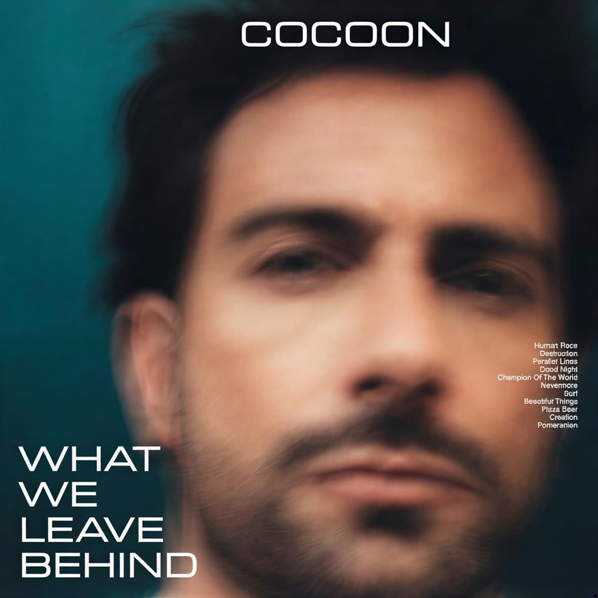 Afbeelding van Cocoon - What We Leave Behind