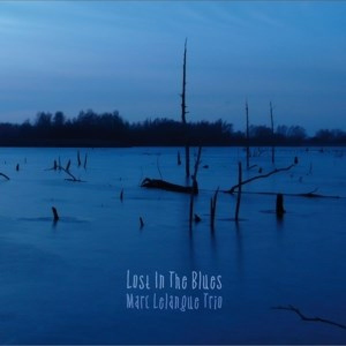 Afbeelding van Marc Lelangue - Lost In The Blues