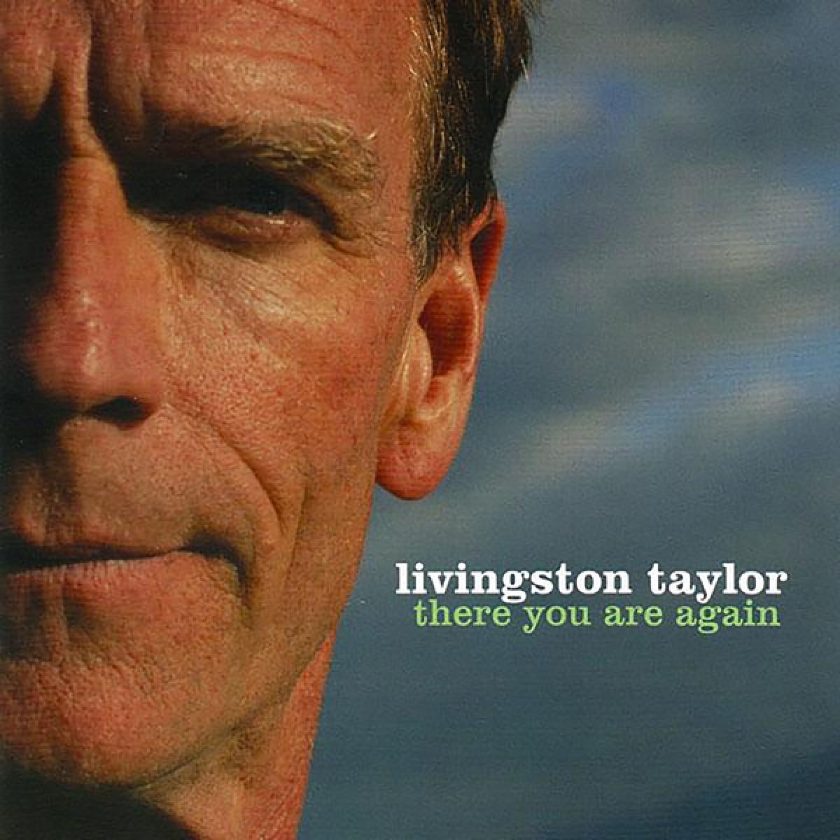 Afbeelding van Livingston Taylor - There You Are Again