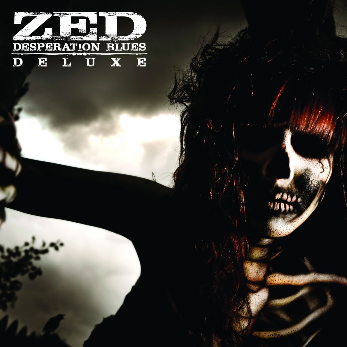 Afbeelding van Zed - Desperation Blues Deluxe