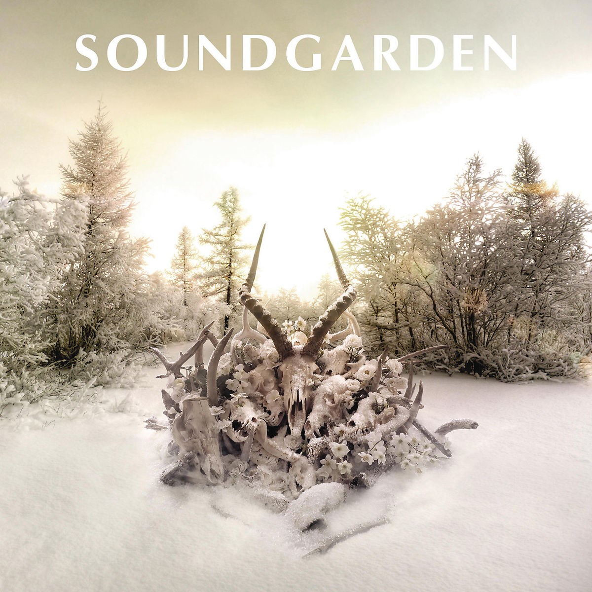 Afbeelding van Soundgarden - King Animal