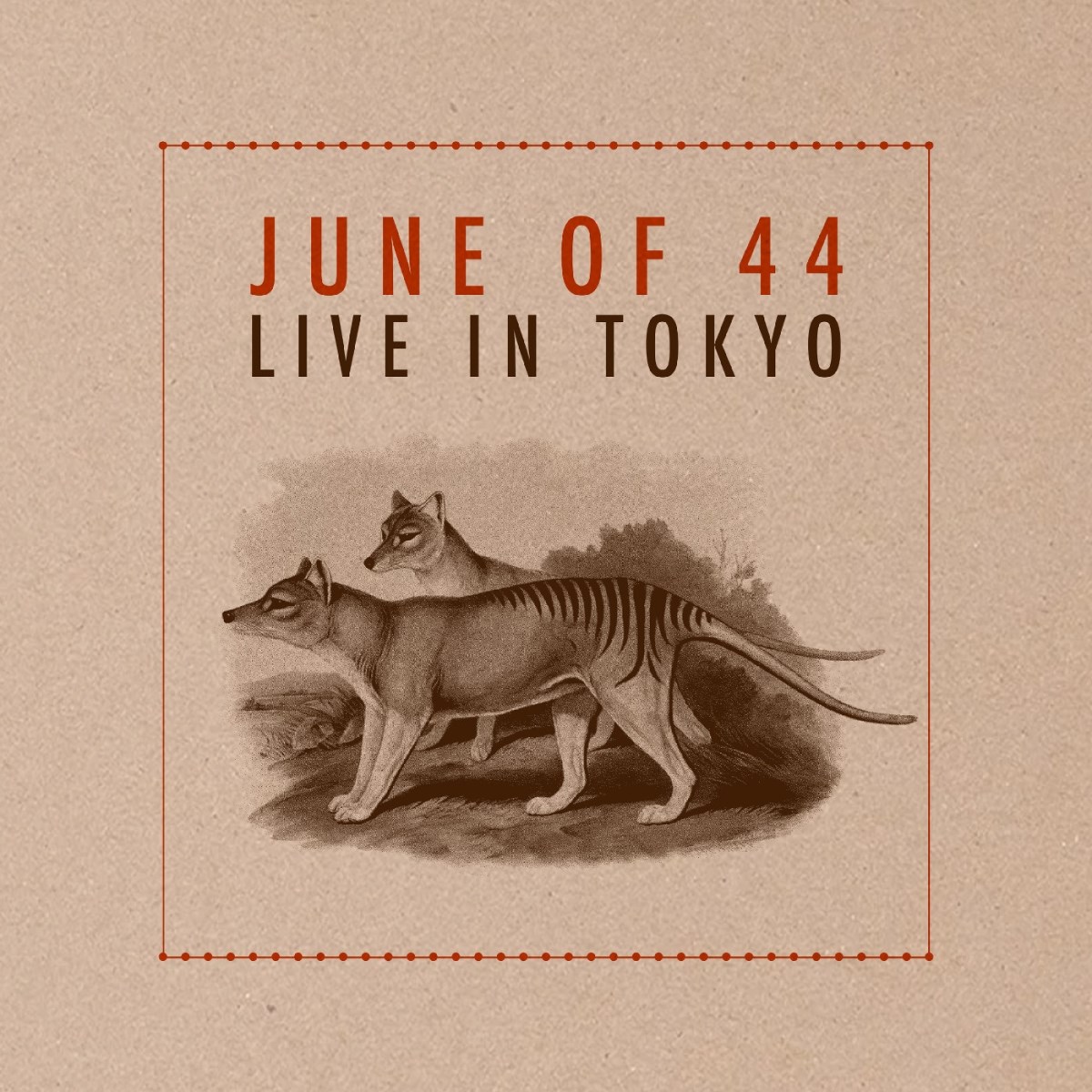 Afbeelding van Live in Tokyo