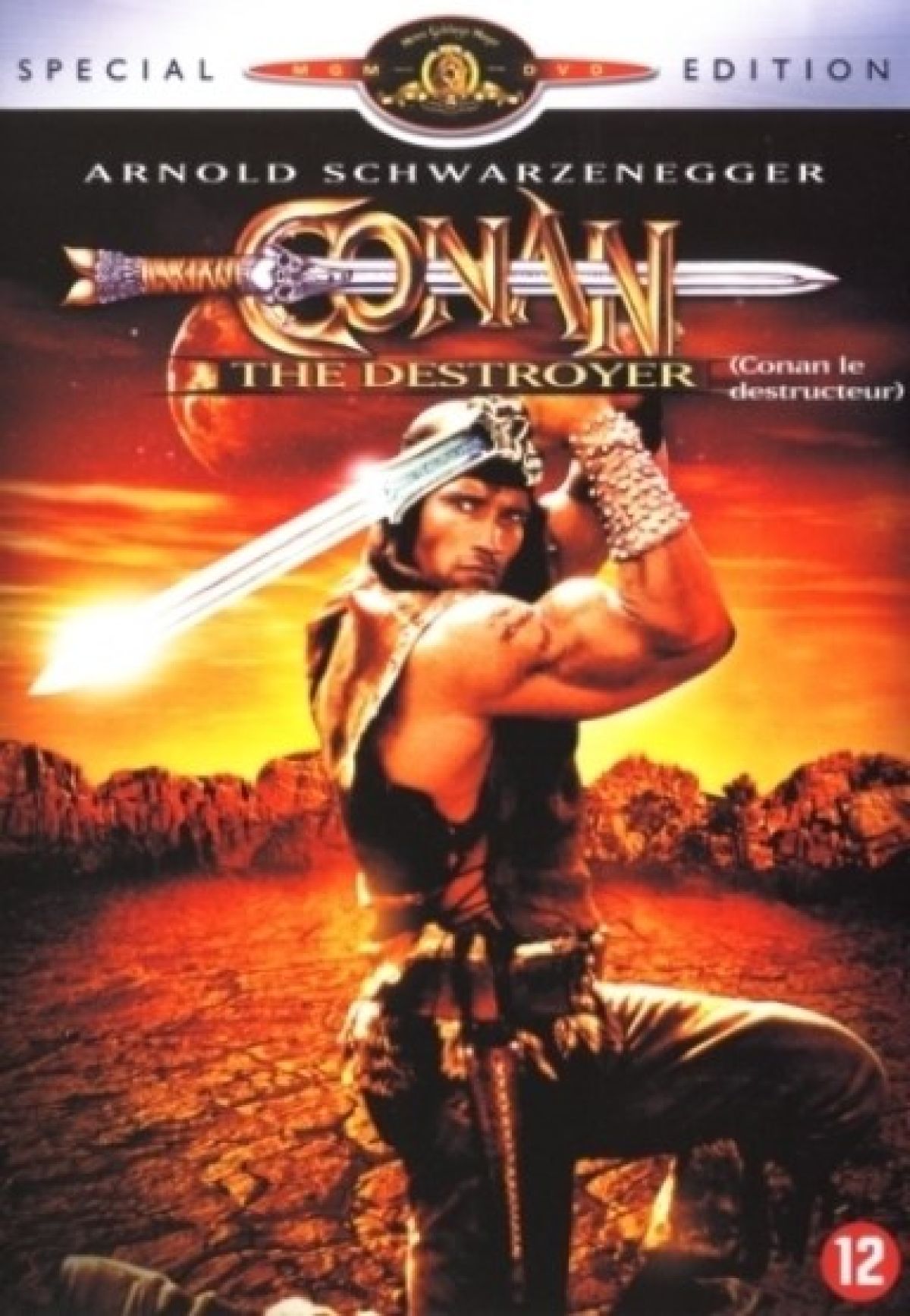 Conan The destroyer