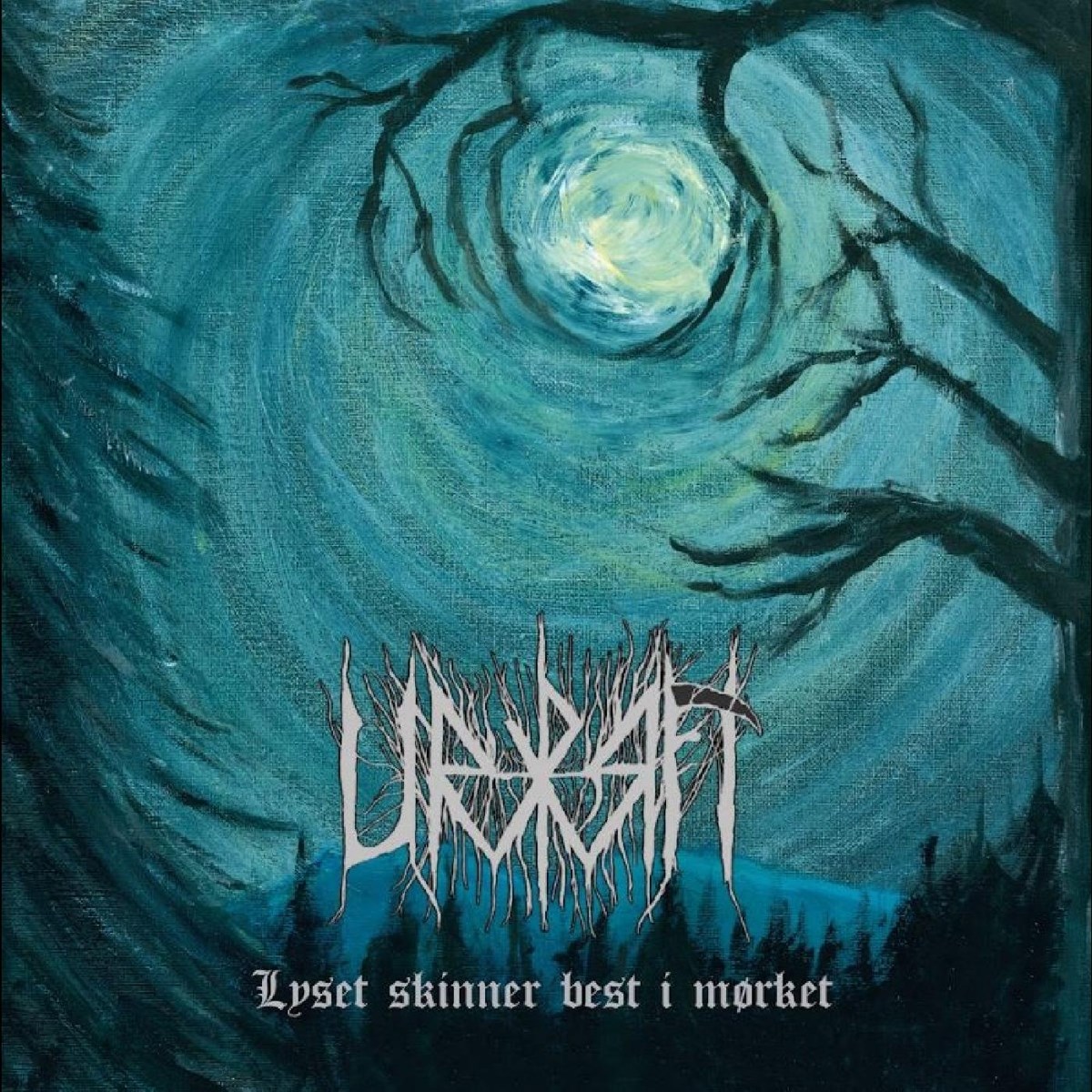 Afbeelding van Lyset skinner best i mørket