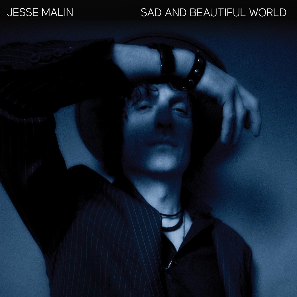 Afbeelding van Jesse Malin - Sad And Beautiful World