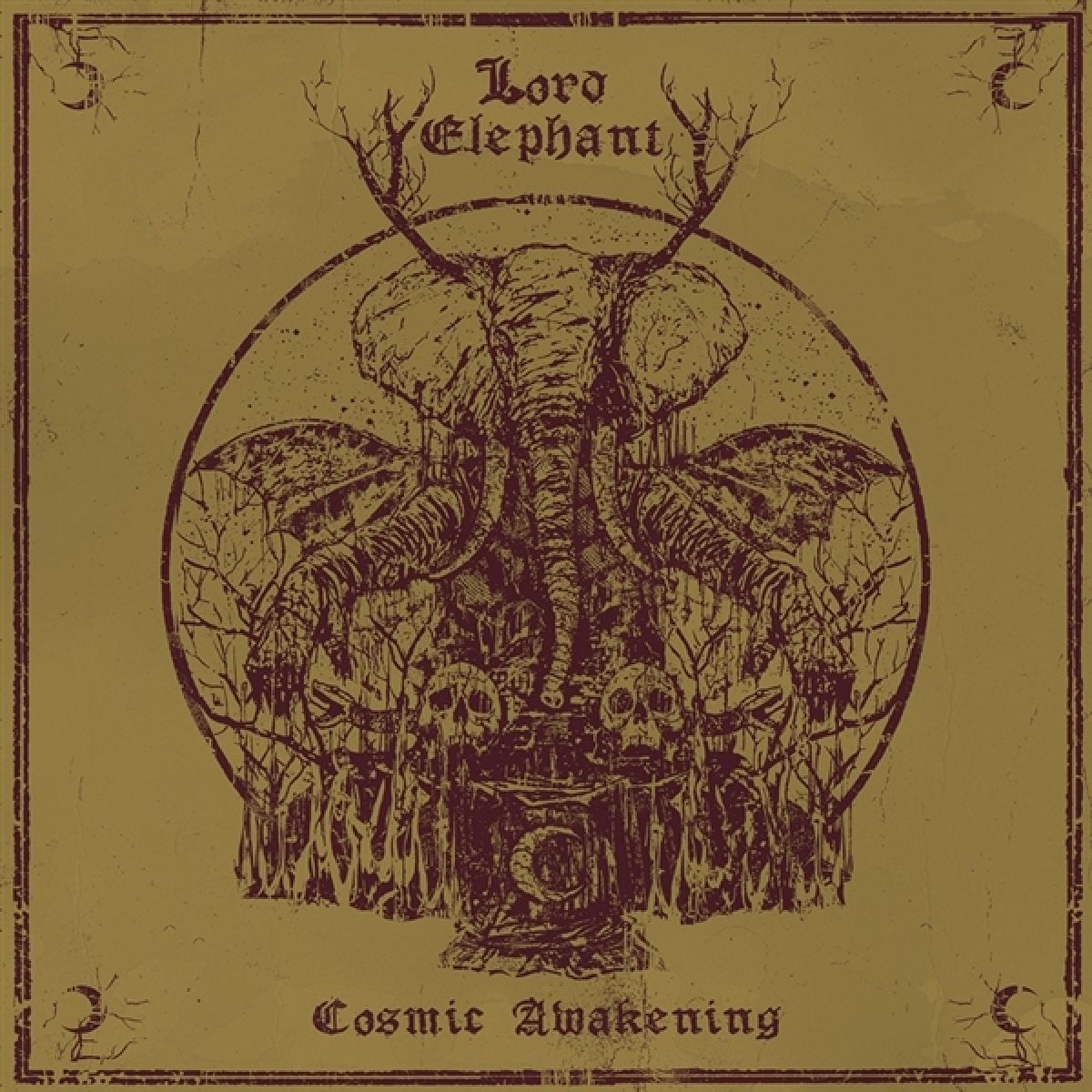Afbeelding van Cosmic Awakening
