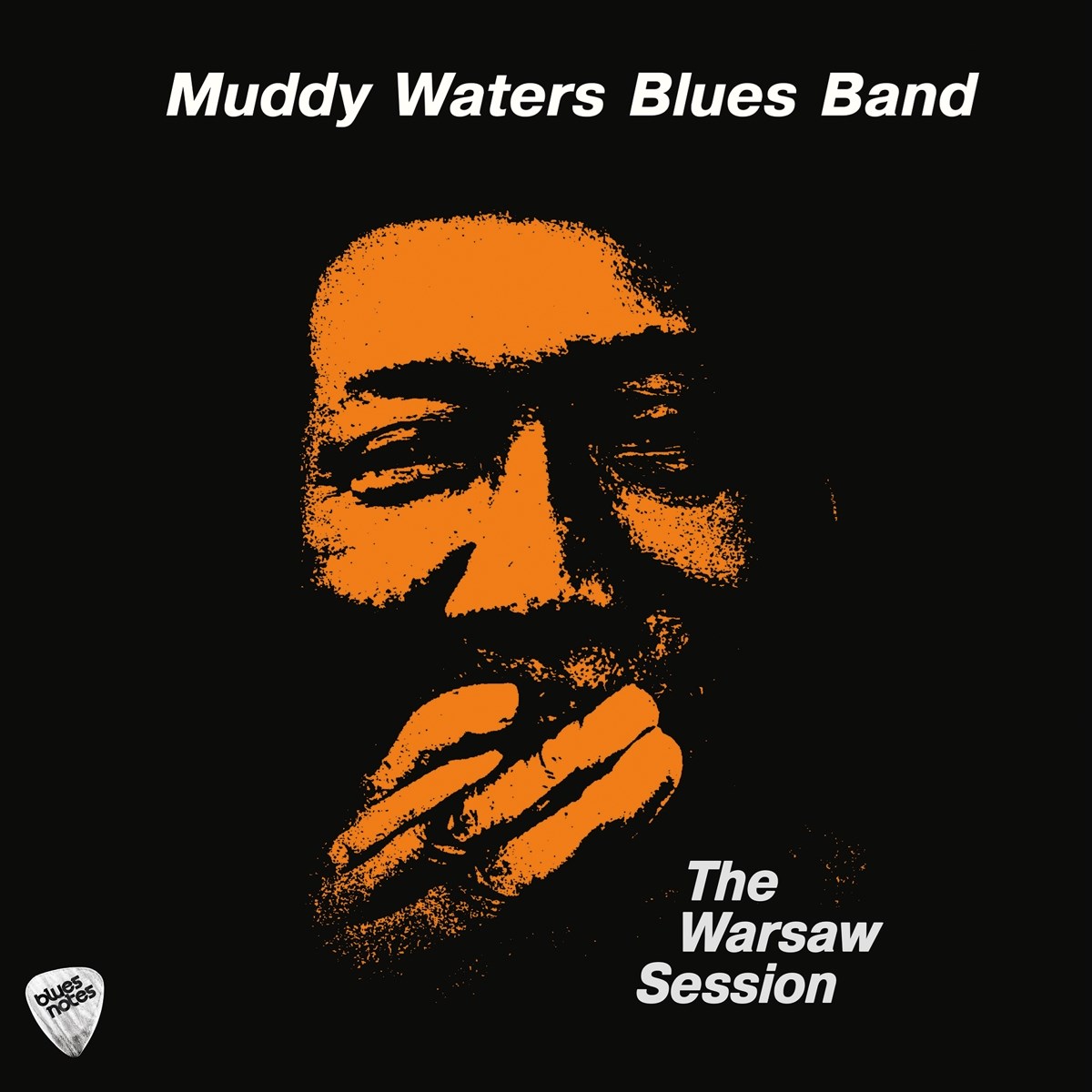 Muddy Waters Blues Band - The Warsaw Session