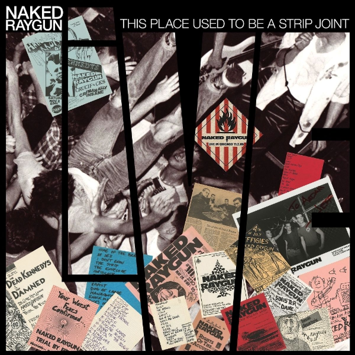 Afbeelding van Naked Raygun - This Place Used To Be A Strip Joint