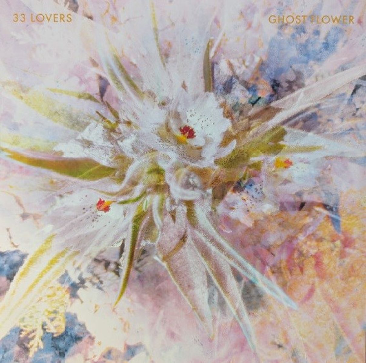 Afbeelding van 33 Lovers - Ghost Flower
