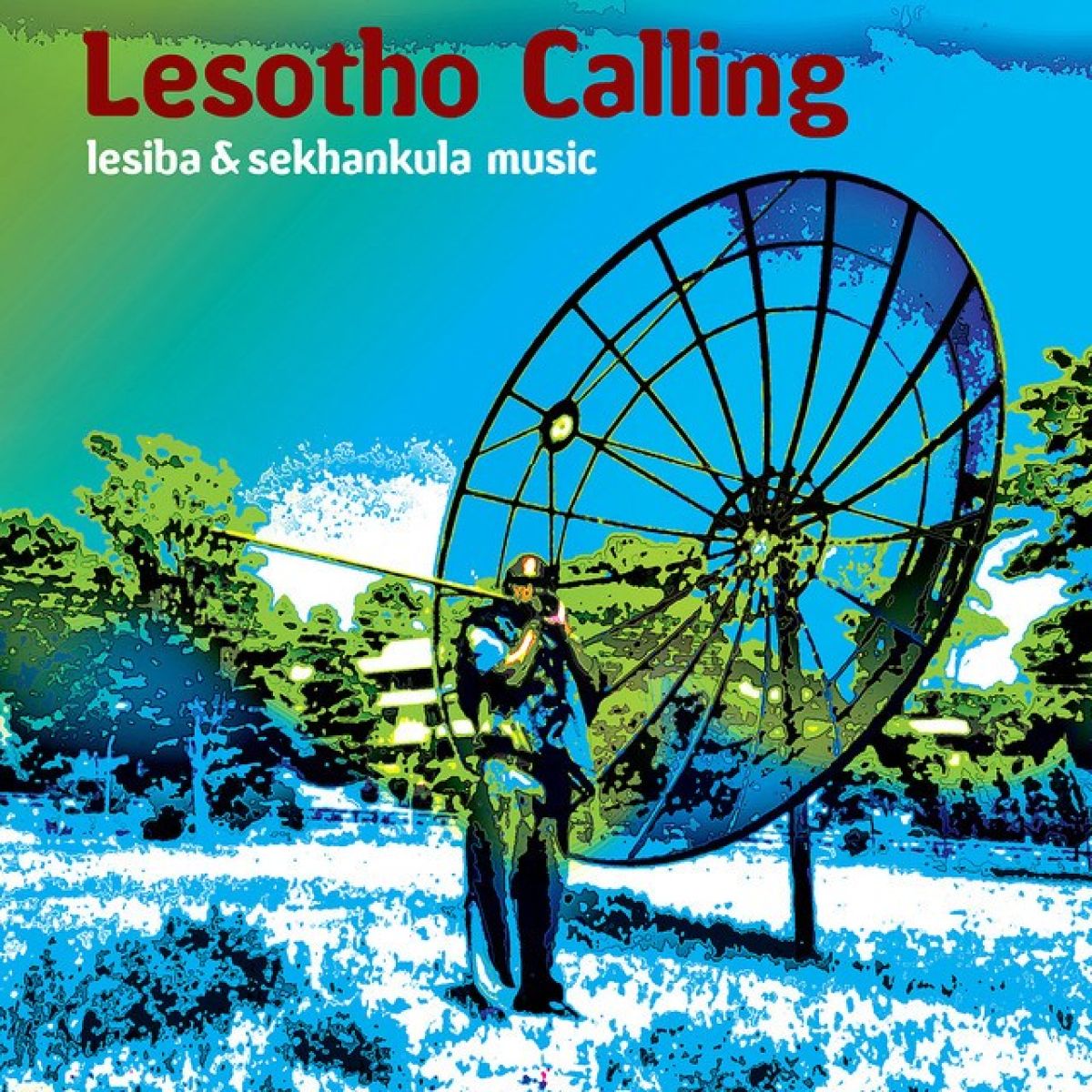 Afbeelding van Various Artists - Lesotho Calling - Lesiba & Sekhankula Music
