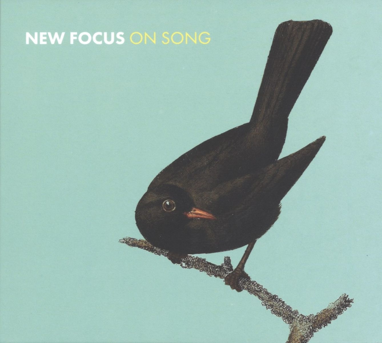 Afbeelding van Euan & Konrad Stevenson - New Focus On Song