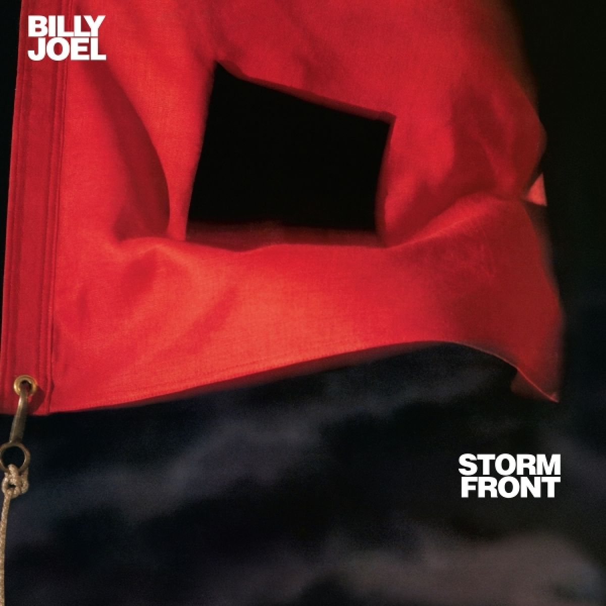 Afbeelding van Billy Joel - Storm Front