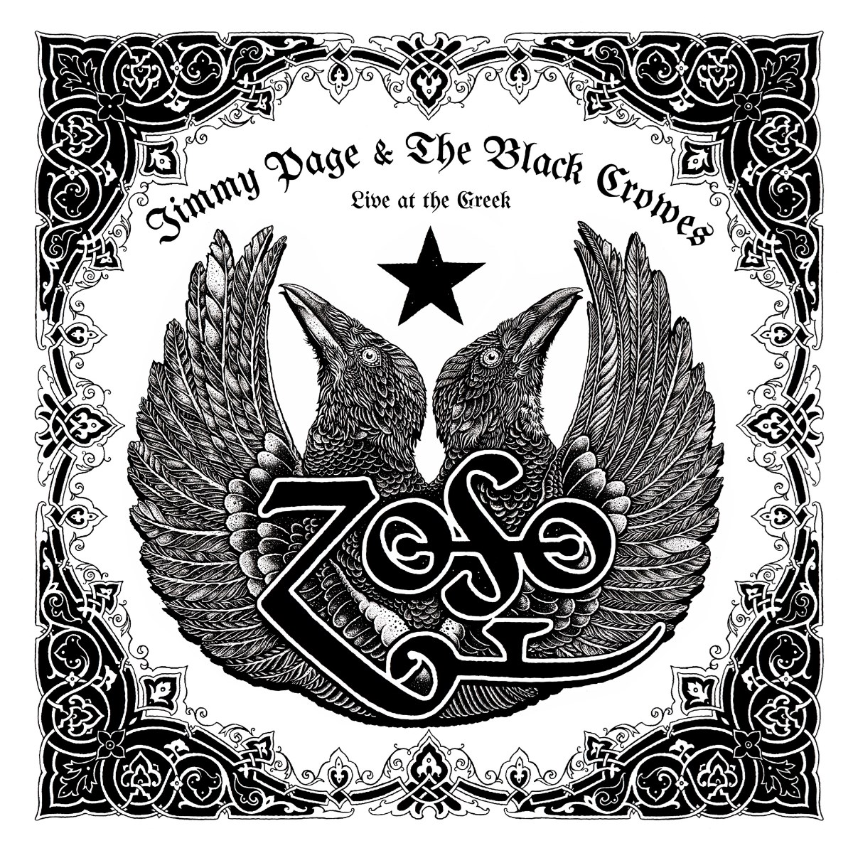 Afbeelding van Jimmy Page & The Black Crowes - Live At The Greek