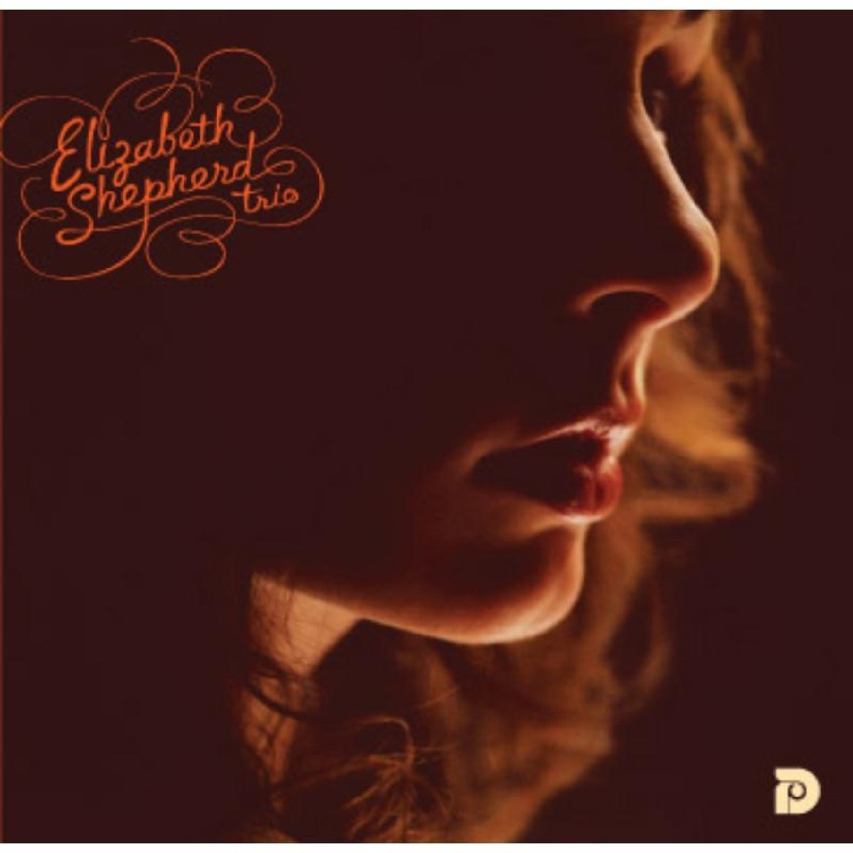 Afbeelding van Elizabeth Shepherd Trio - Start To Move