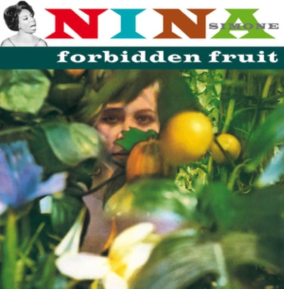 Afbeelding van Nina Simone - Forbidden Fruit