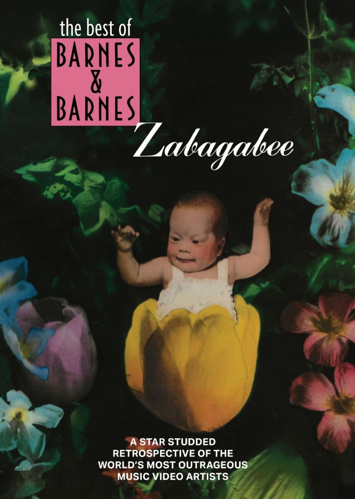 Afbeelding van Barnes & Barnes - Zabagabee: The Best Of Barnes & Barnes
