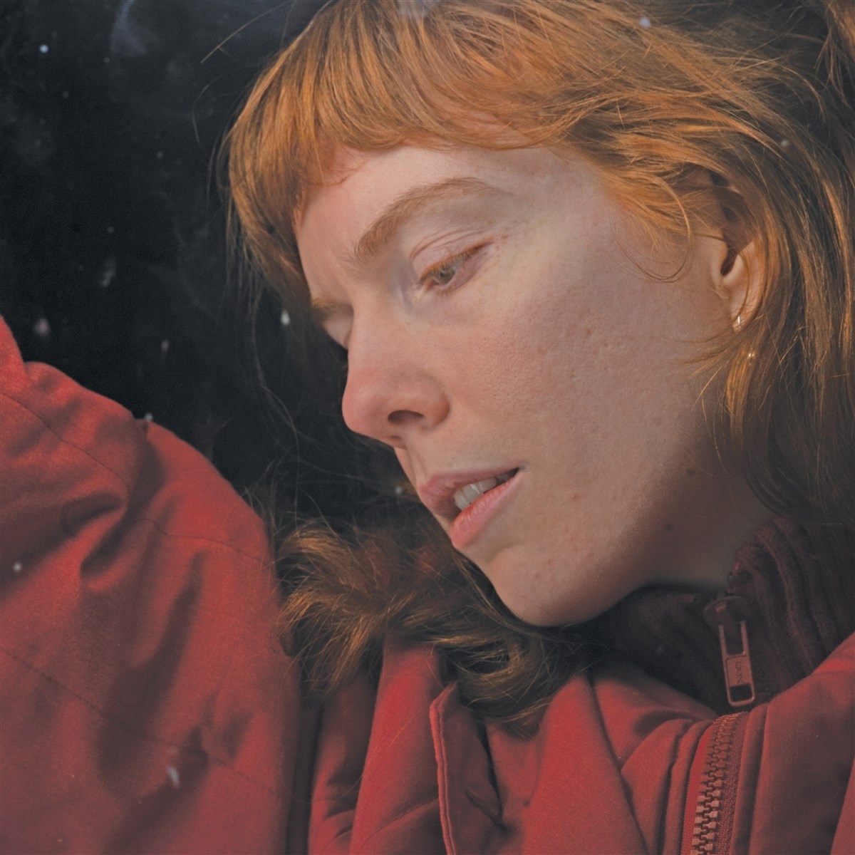 Afbeelding van Elanor Moss - The Knife, The Needle