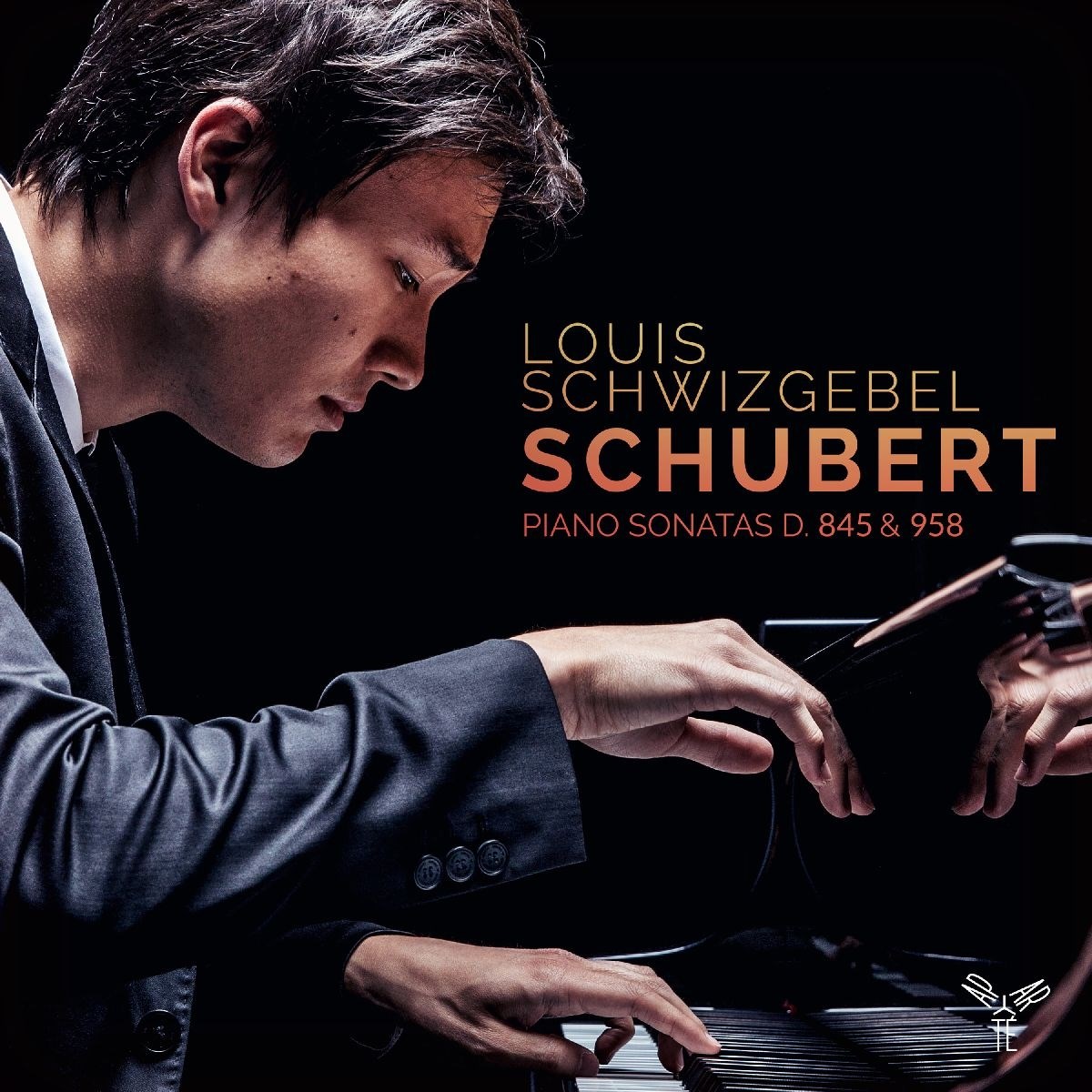Louis Schwizgebel - Schubert: Piano Sonatas D. 845 & 958