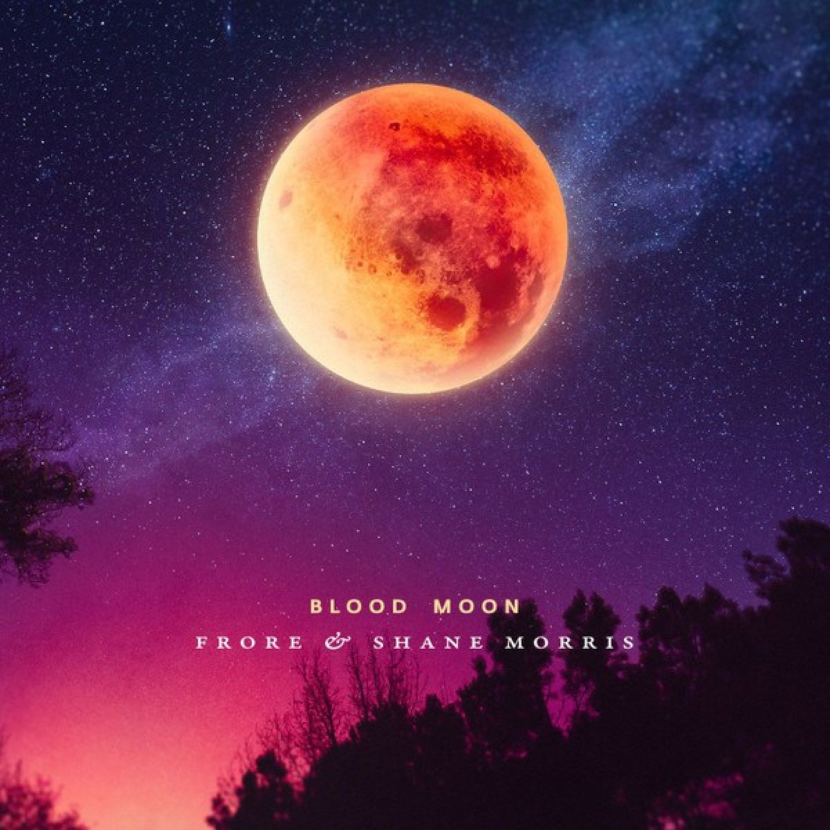 Afbeelding van Frore & Shane Morris - Blood Moon