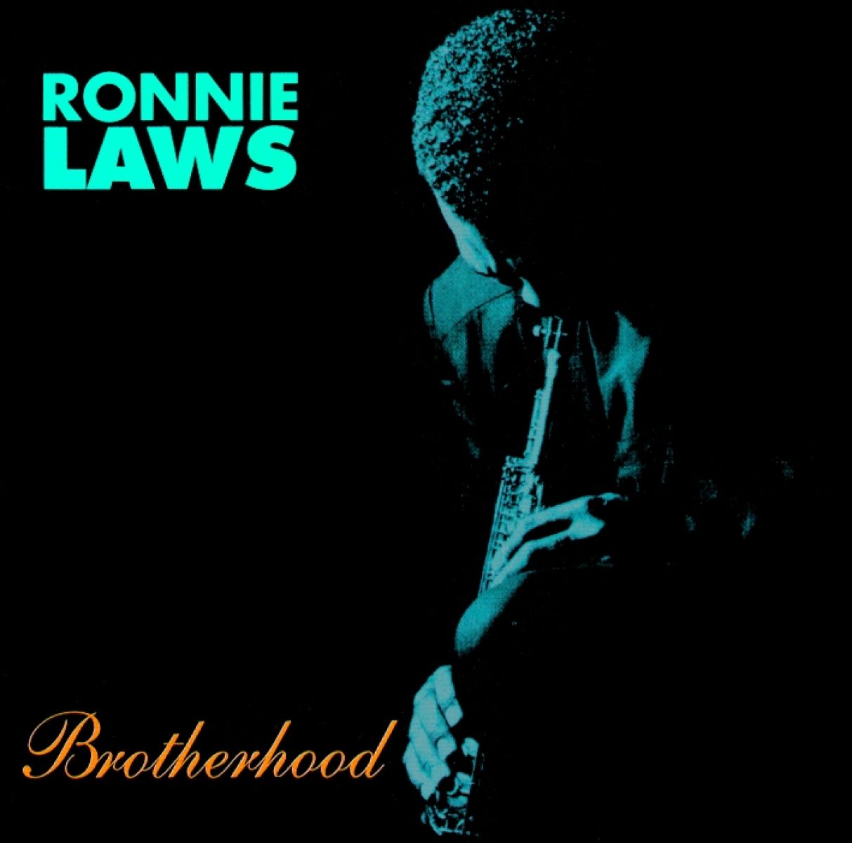 Afbeelding van Ronnie Laws - Brotherhood