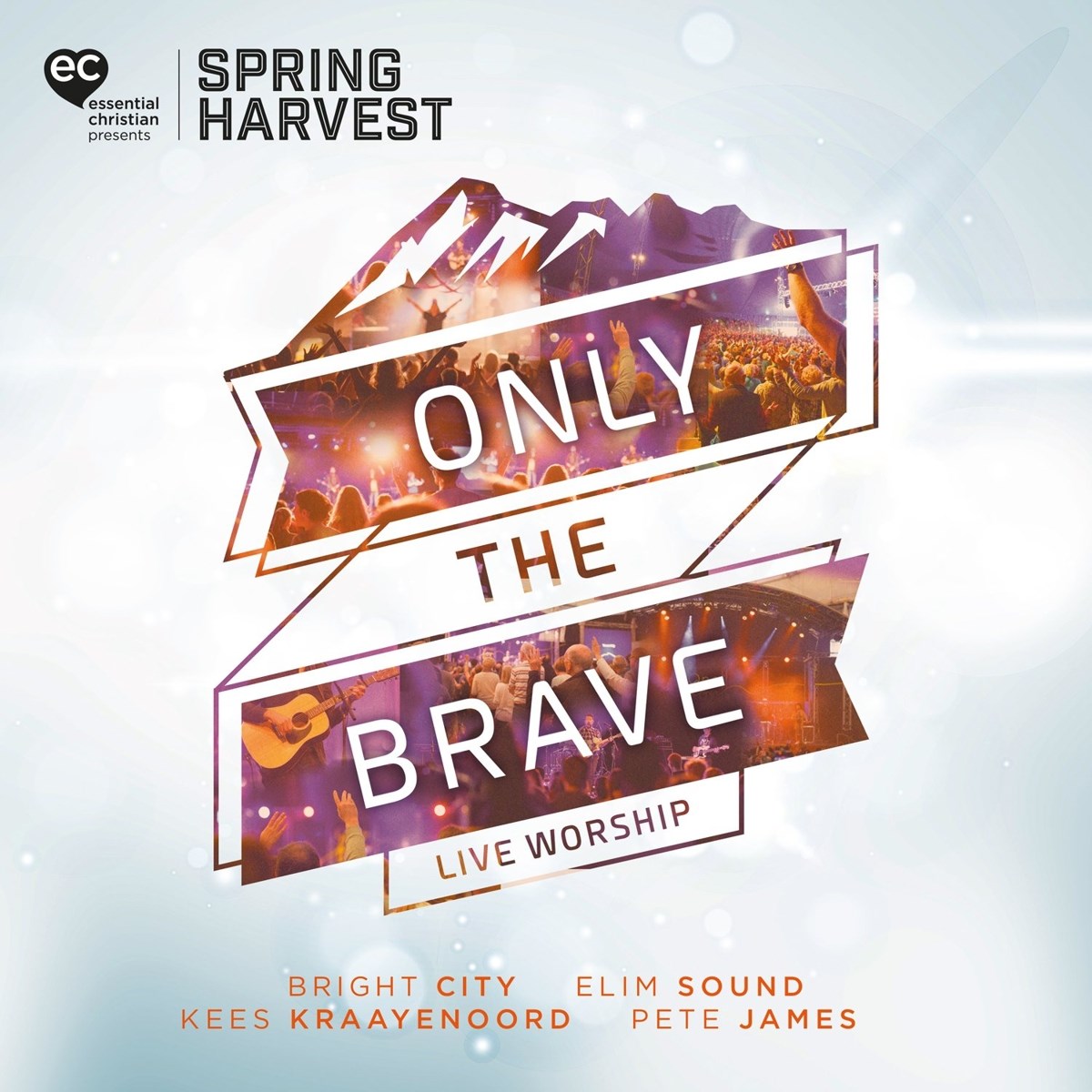 Various Artists - Only The Brave