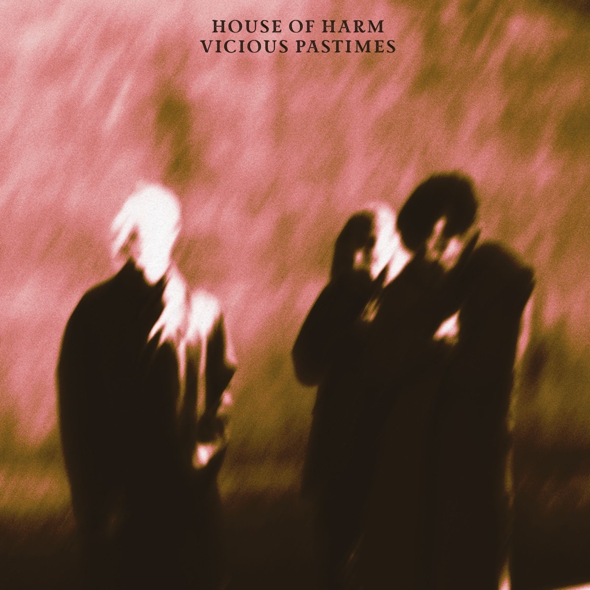 Afbeelding van House Of Harm - Vicious Pastimes