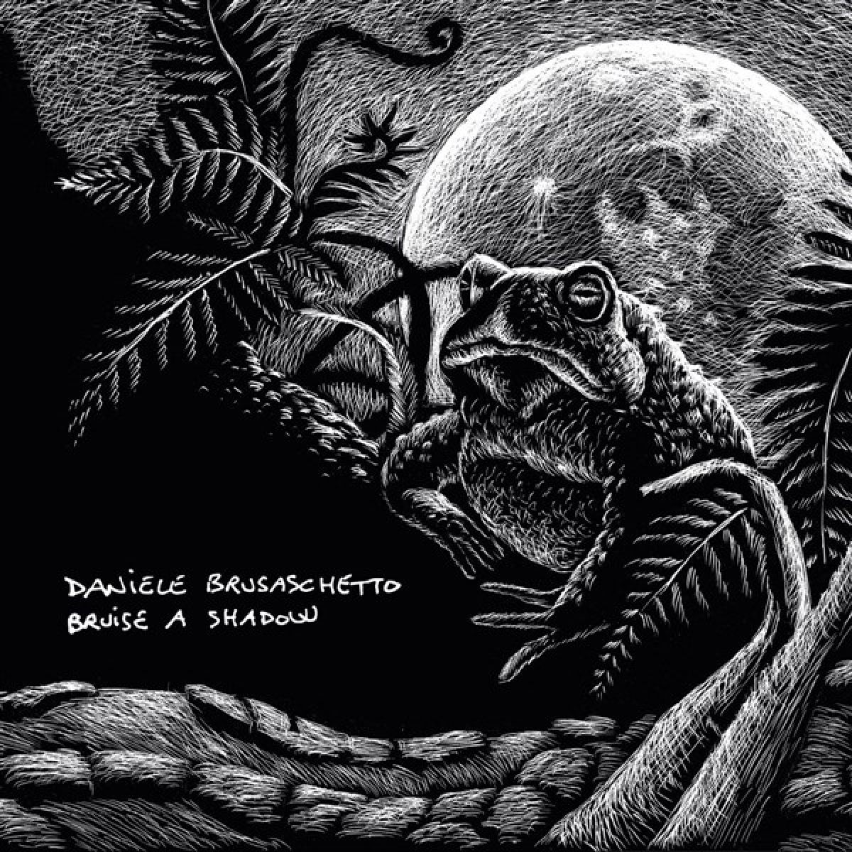 Afbeelding van Daniele Brusaschetto - Bruise A Shadow