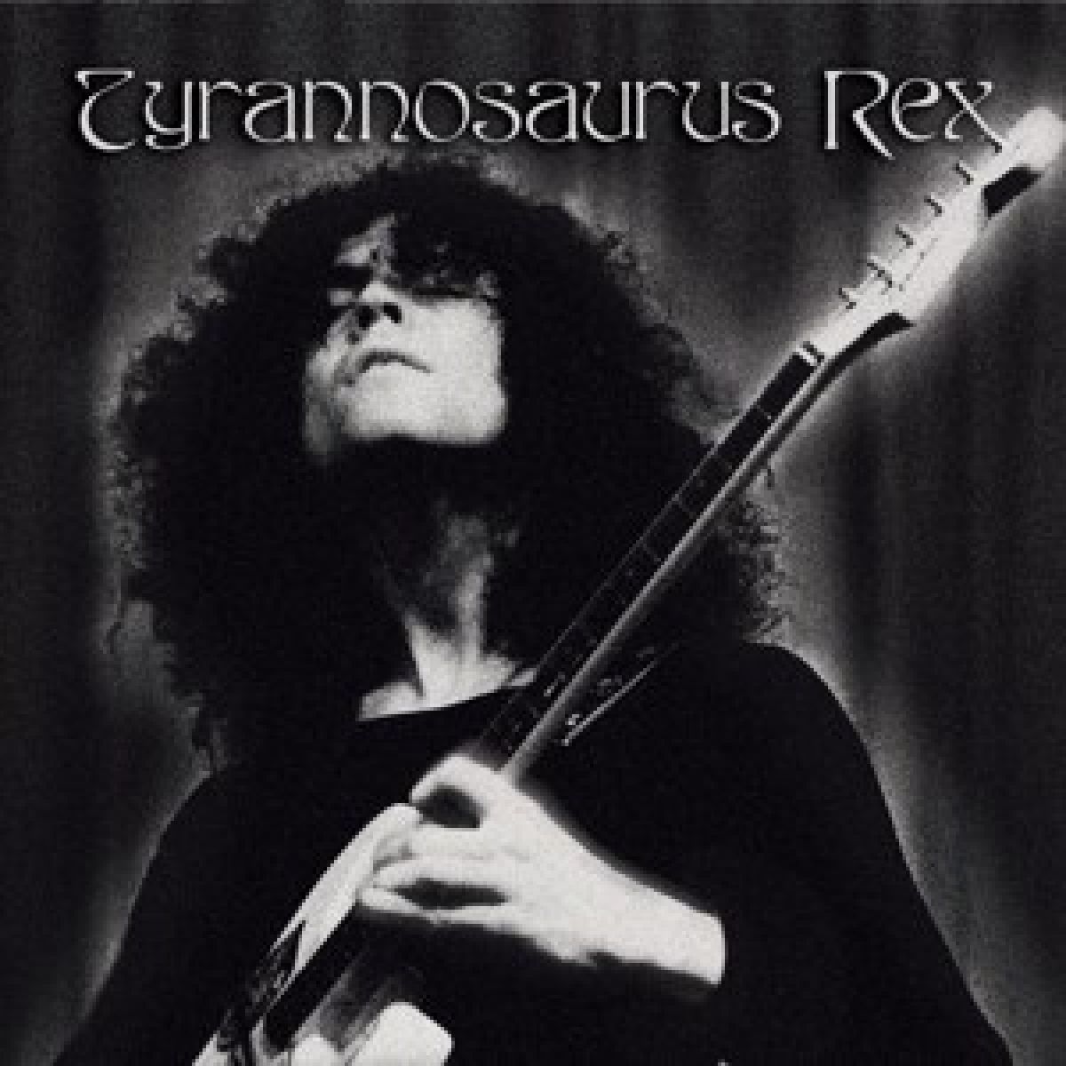 Afbeelding van Tyrannosaurus Rex - Crown Of Dark Swansdown