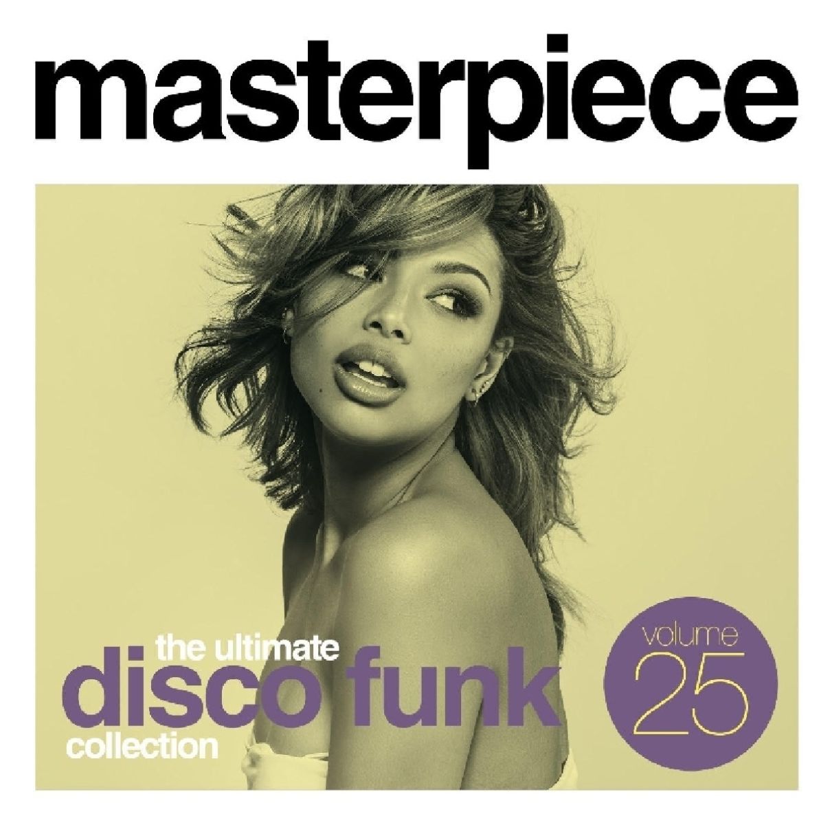 Various Artists - Masterpiece Volume 25 - The Ultimate Disco Funk Collection