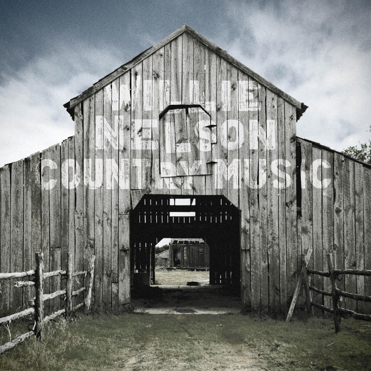 Willie Nelson - Country Music
